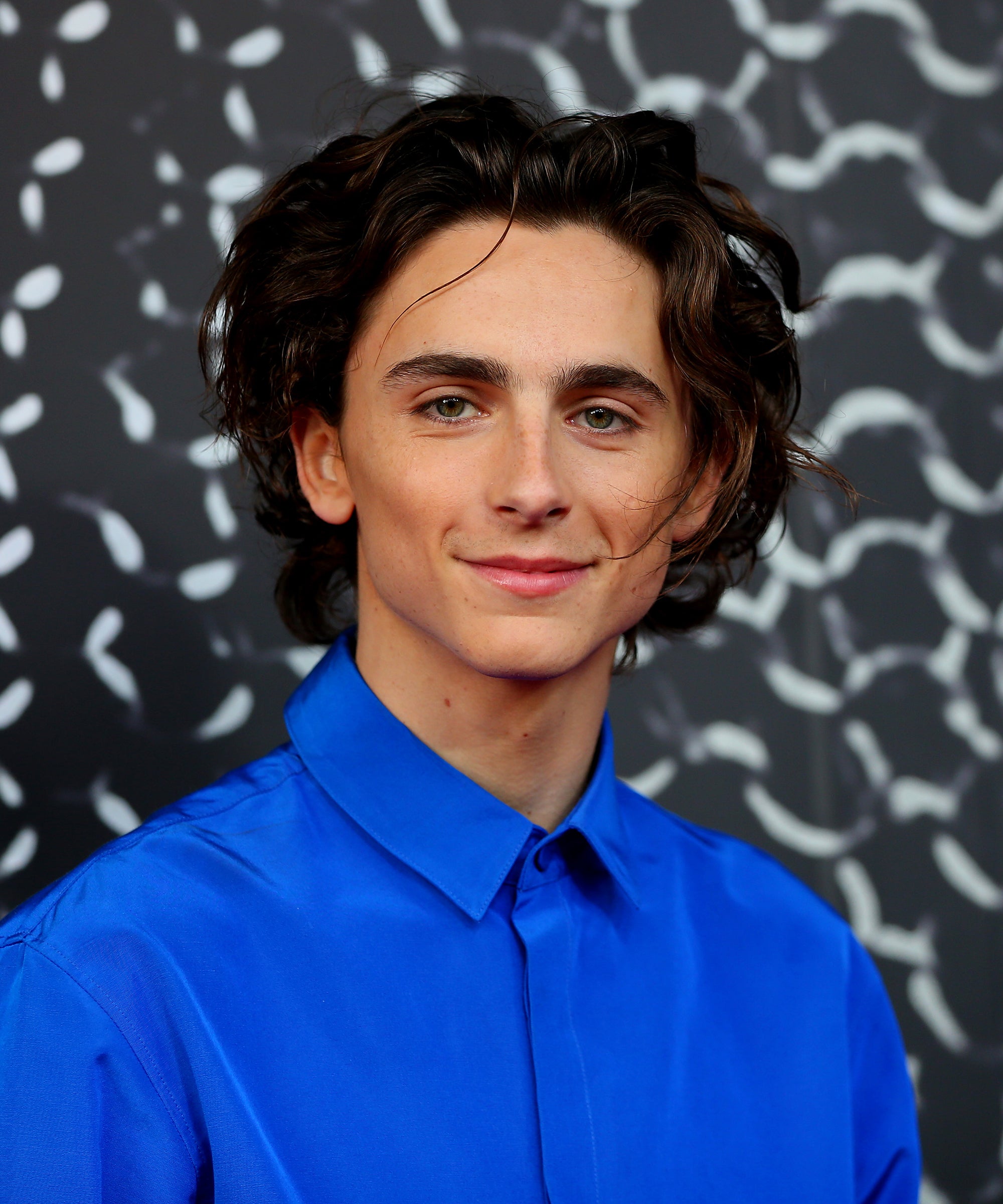 Timothée Chalamet Wishes Zendaya Happy Birthday
